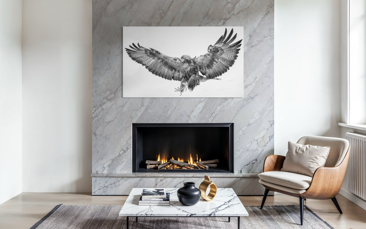 Golden Eagle, Lapland, Finland shown framed in a room
