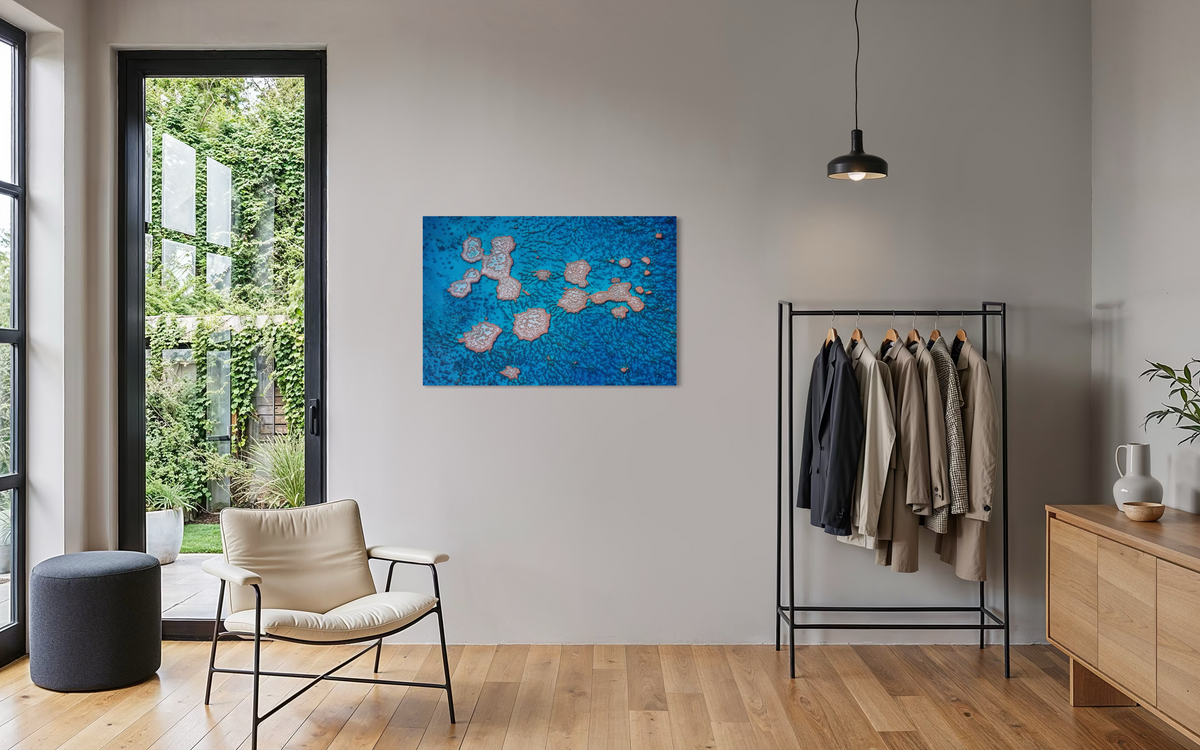 Great Barrier Reef, QLD, Australia shown framed in a room