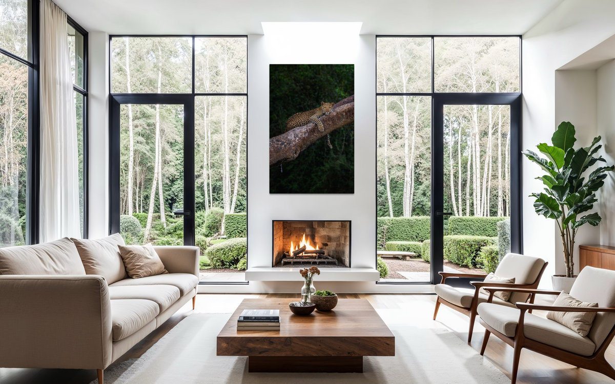 Leopard on Tree, Zambia shown framed in a room