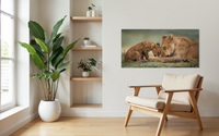 Lioness and Cub, Botswana view 2