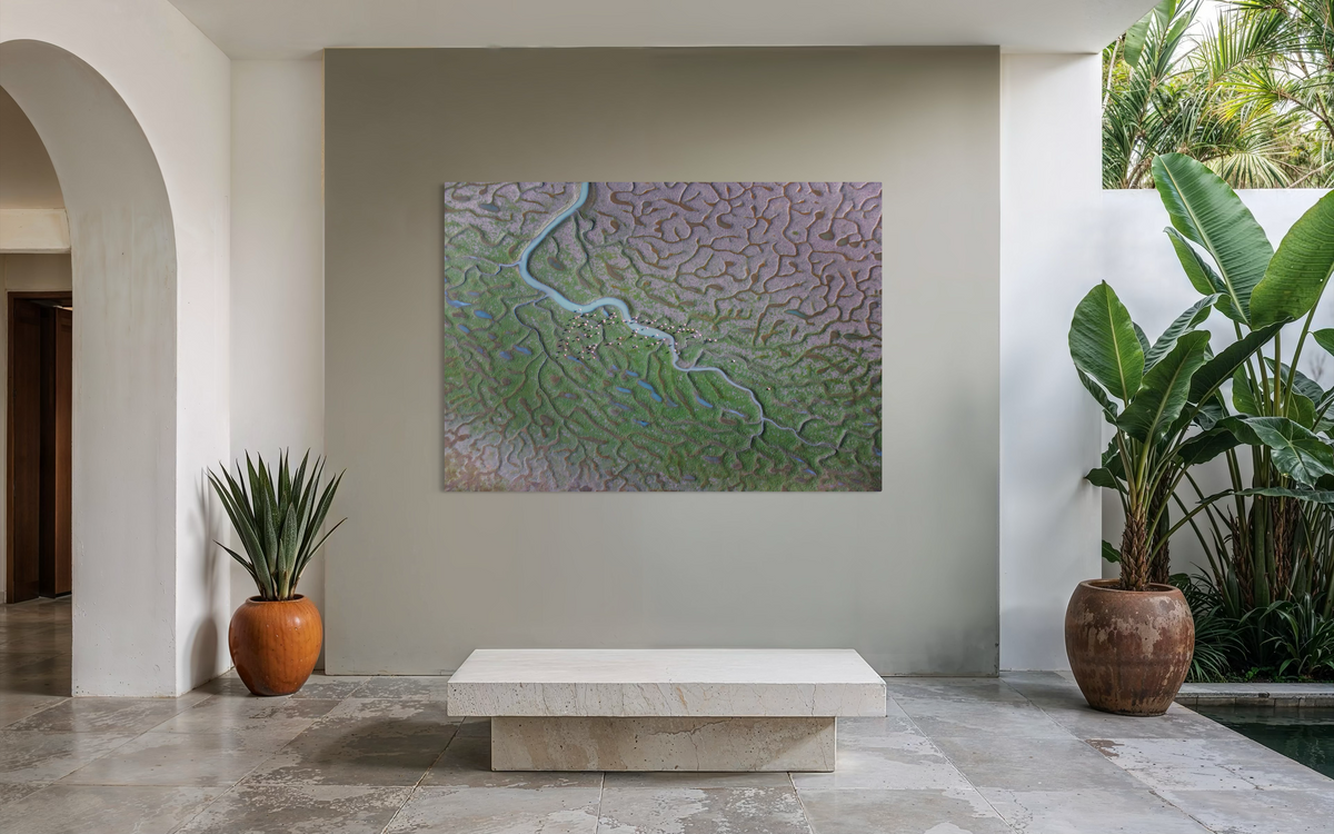 Marismas del Guadalquivir, Spain shown framed in a room