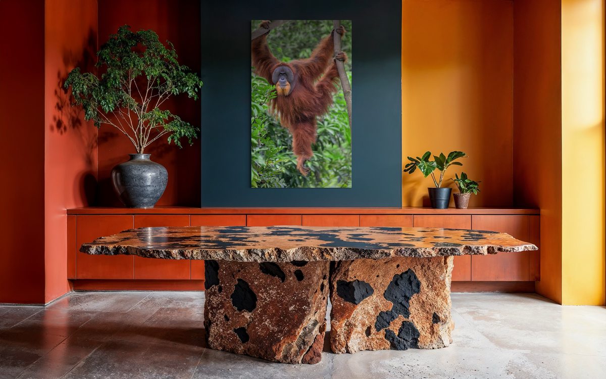 Orangutan, Bukit Lawang, Sumatra, Indonesia shown framed in a room