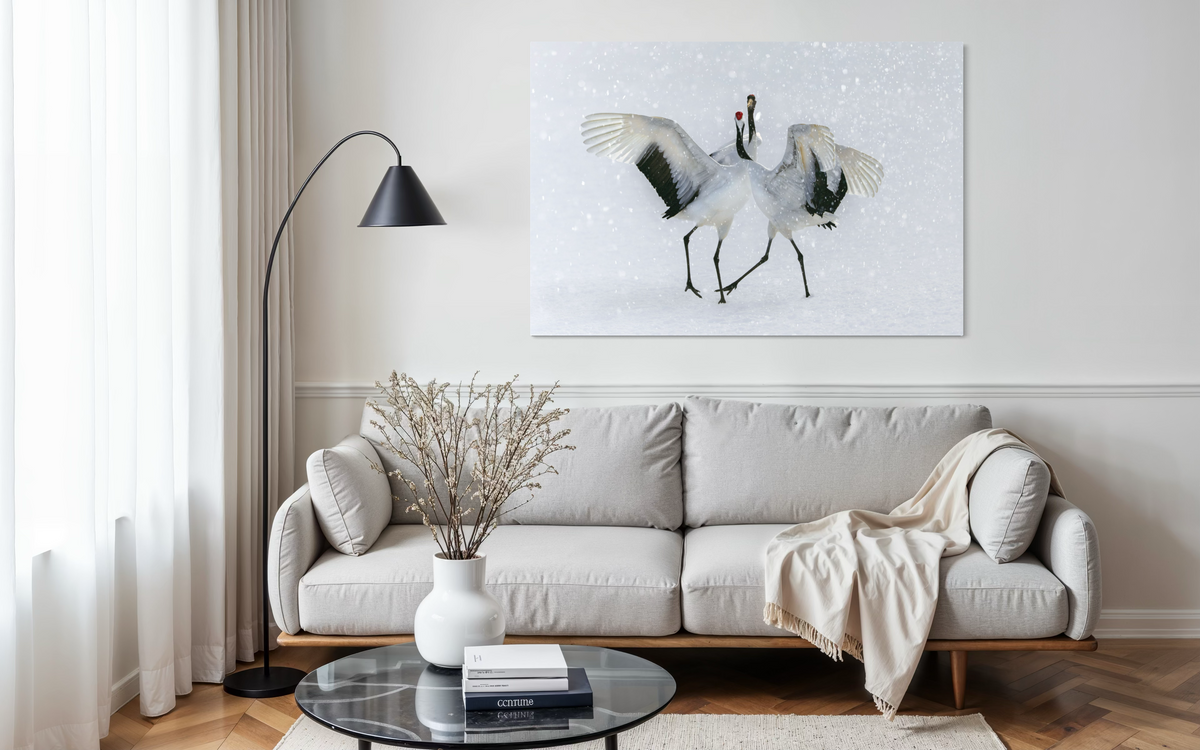 Red-crowned Crane, Hokkaido, Japan shown framed in a room