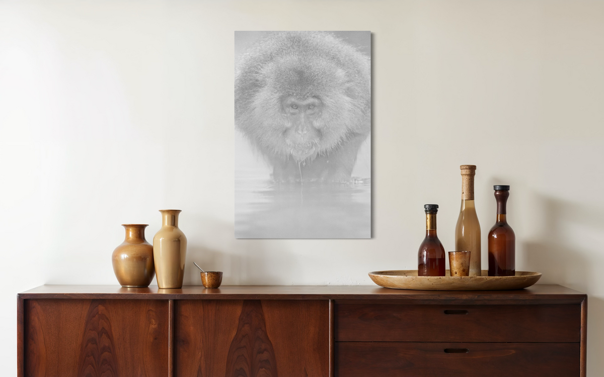 Snow Monkey, Japan shown framed in a room