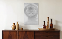 Snow Monkey, Japan view 2