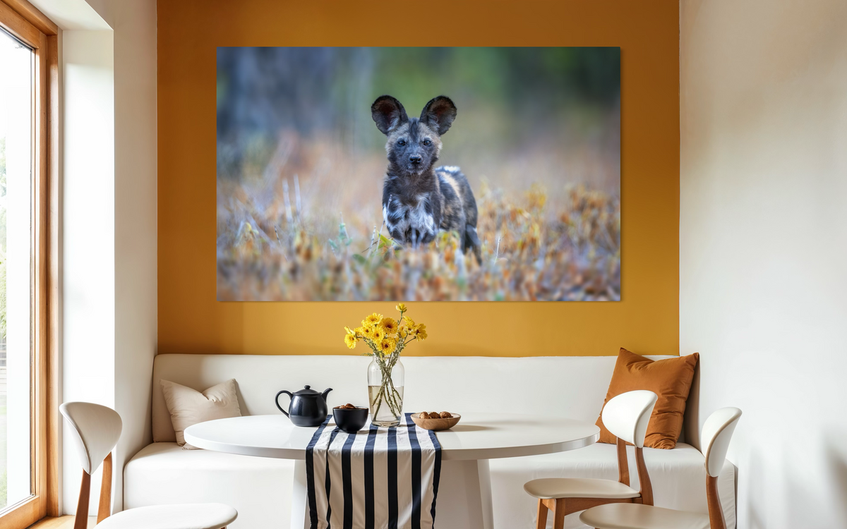 Wild Dog (Painted Dog), Zimbabwe shown framed in a room