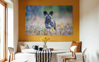 Wild Dog (Painted Dog), Zimbabwe view 2