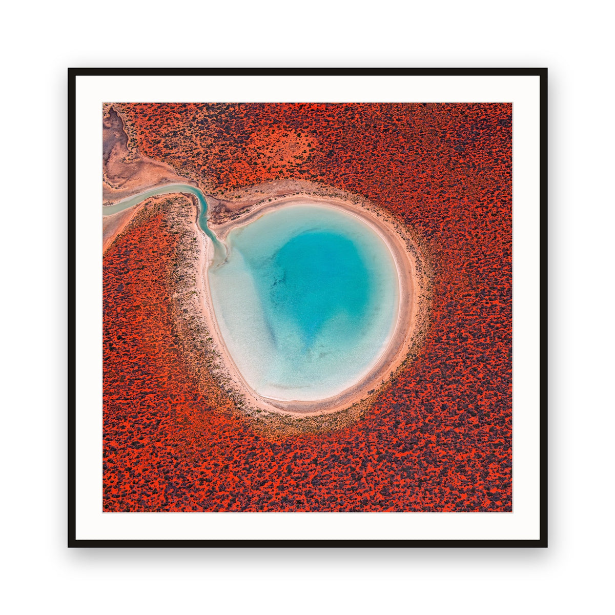 Blue Lagoon, Francois Peron (Wulybidi) NP, Shark Bay, WA