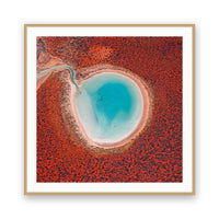 Blue Lagoon, Francois Peron (Wulybidi) NP, Shark Bay, WA view 3