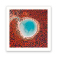 Blue Lagoon, Francois Peron (Wulybidi) NP, Shark Bay, WA view 4