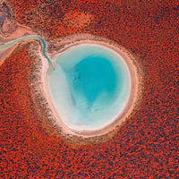 Blue Lagoon, Francois Peron (Wulybidi) NP, Shark Bay, WA view 5