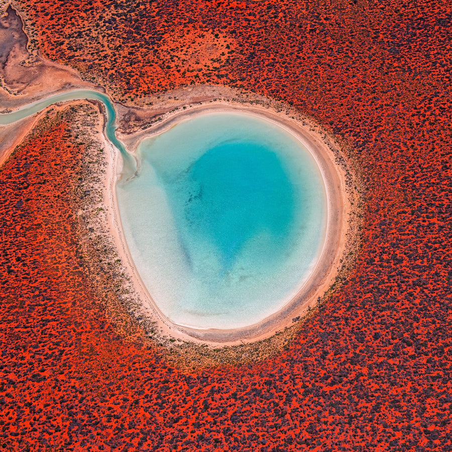 Blue Lagoon, Francois Peron (Wulybidi) NP, Shark Bay, WA