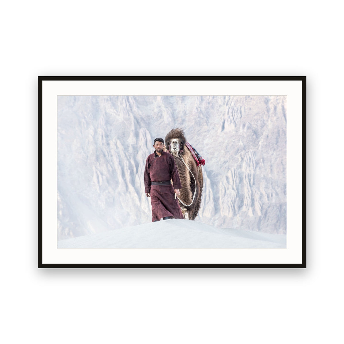 Camel Herder, Nubra Valley, Ladakh, India