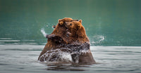 Dancing Bears, Kamchatka, Russia view 5