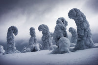Frozen Giants, Lapland, Finland view 5