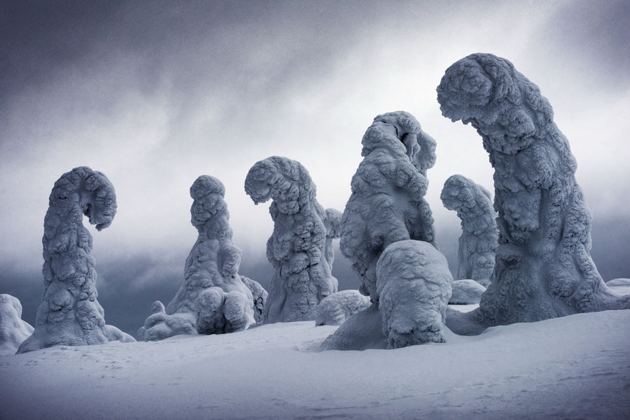 Frozen Giants, Lapland, Finland