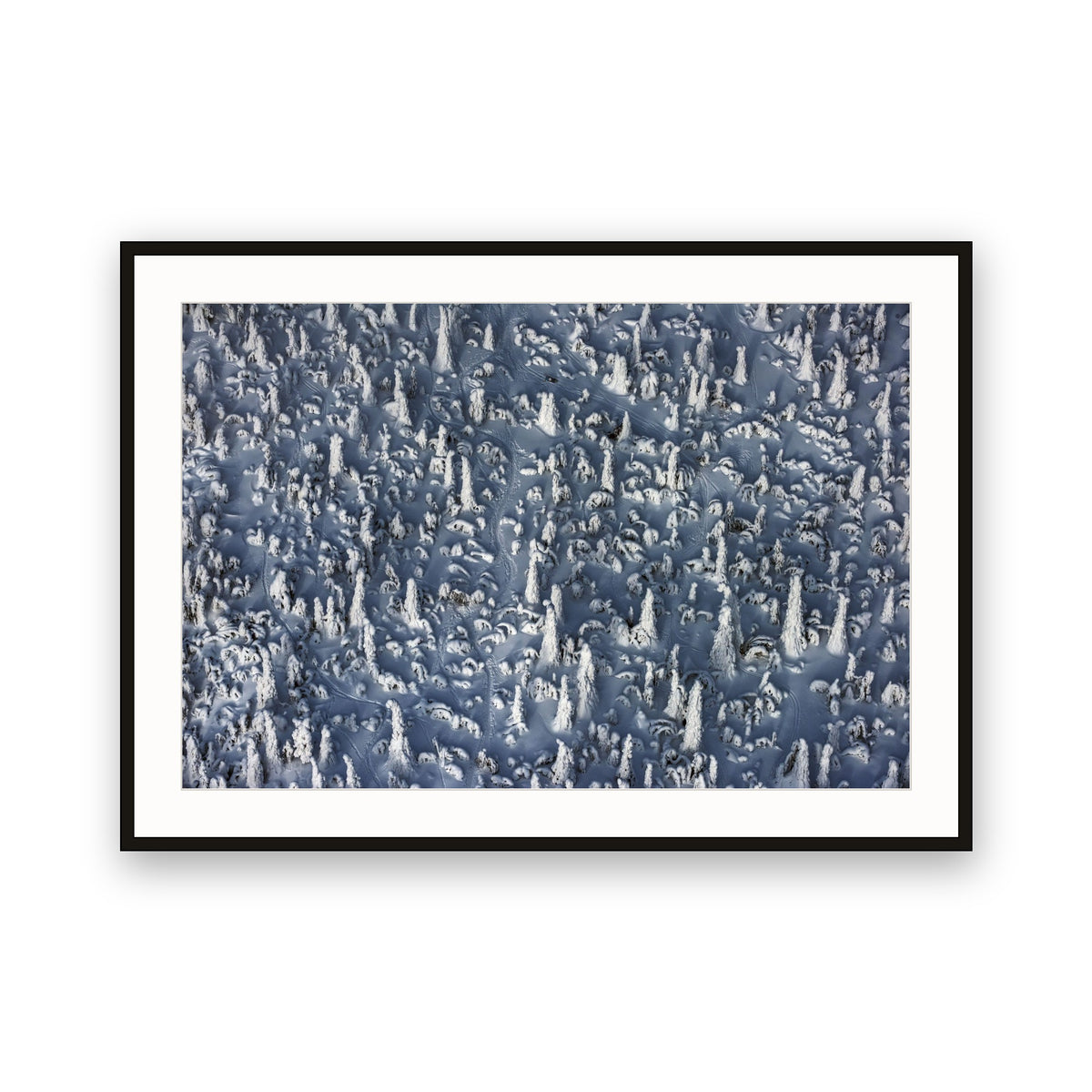 Frozen Trees Aerial, Lapland