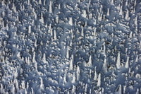 Frozen Trees Aerial, Lapland view 5