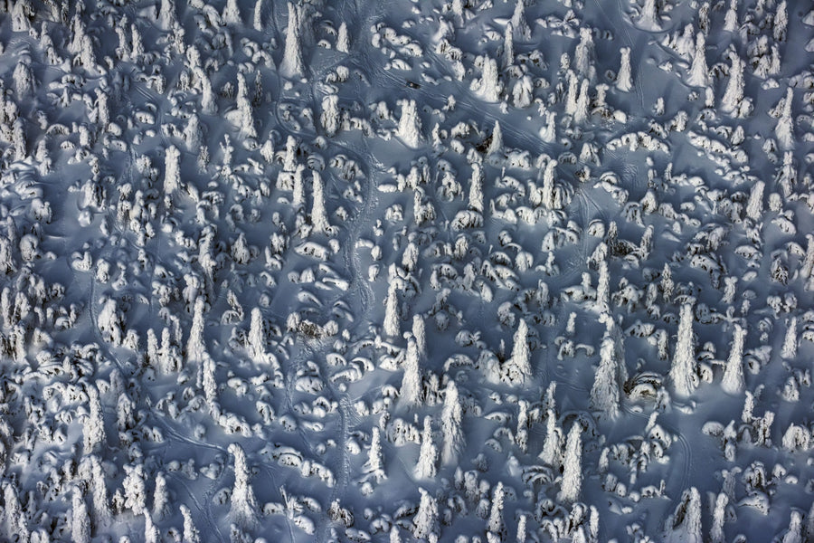 Frozen Trees Aerial, Lapland