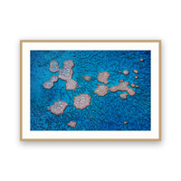 Great Barrier Reef, QLD, Australia view 3