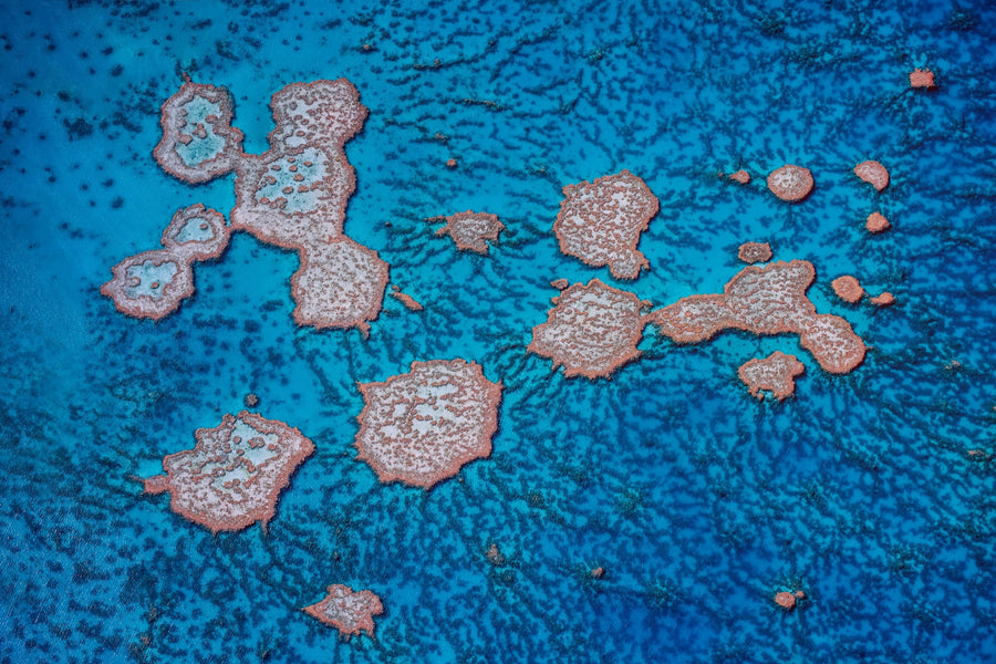 Great Barrier Reef, QLD, Australia