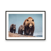 Grizzly Bears, Kamchatka, Russia view 1