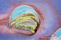 Lake Eyre, South Australia view 5