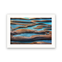 Lonely Tree, Lencois Maranhenses, Brazil view 4