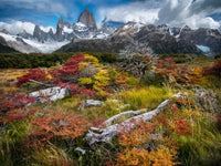 Mt. Fitz Roy in Autumn, Argentina view 5