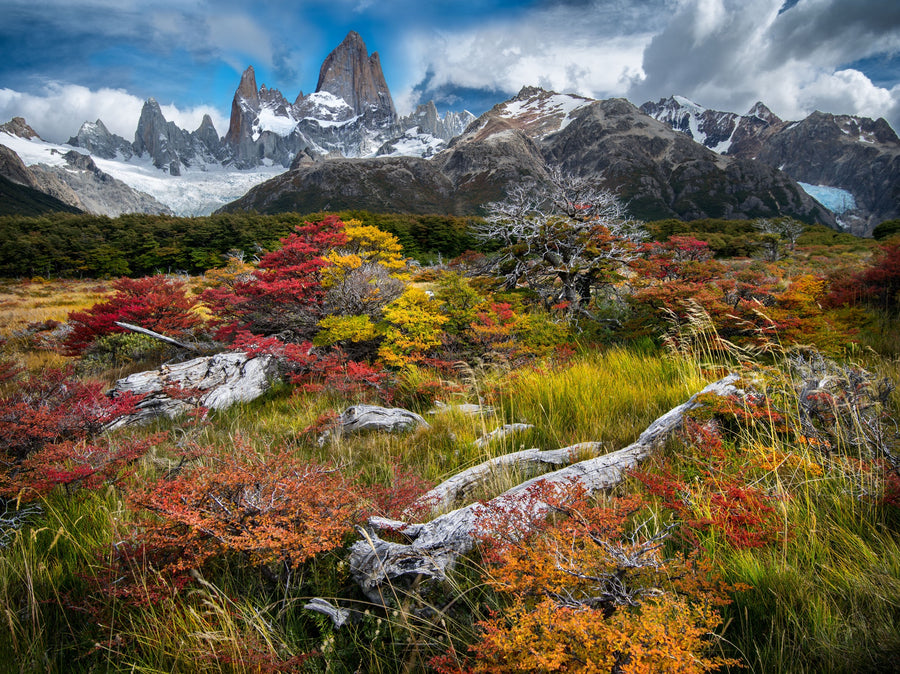 Mt. Fitz Roy in Autumn, Argentina