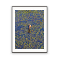 Okavango Aerial View, Botswana view 1