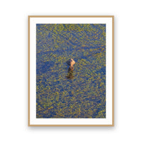 Okavango Aerial View, Botswana view 3