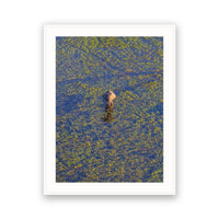 Okavango Aerial View, Botswana view 4