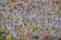 Patagonia in Autumn, Chile view 5