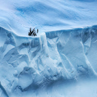 Penguins and Petrels, Antarctica view 5
