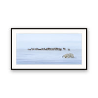 Polar Bear and Reindeer, Svalbard view 1