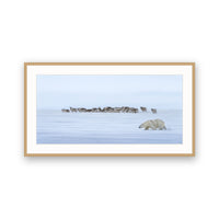 Polar Bear and Reindeer, Svalbard view 3