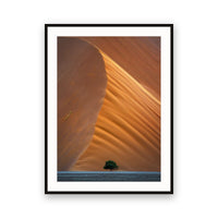 Sand Dune, Sossusvlei, Namibia view 1