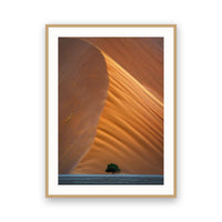 Sand Dune, Sossusvlei, Namibia view 3