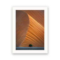 Sand Dune, Sossusvlei, Namibia view 4