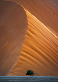 Sand Dune, Sossusvlei, Namibia view 5
