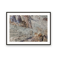 Snow Leopards and Cubs, Hemis National Park, Ladakh, India view 1