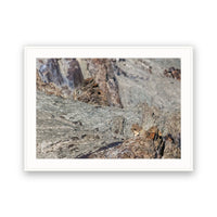 Snow Leopards and Cubs, Hemis National Park, Ladakh, India view 4