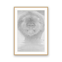 Snow Monkey, Japan view 3