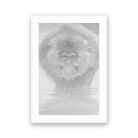 Snow Monkey, Japan view 4
