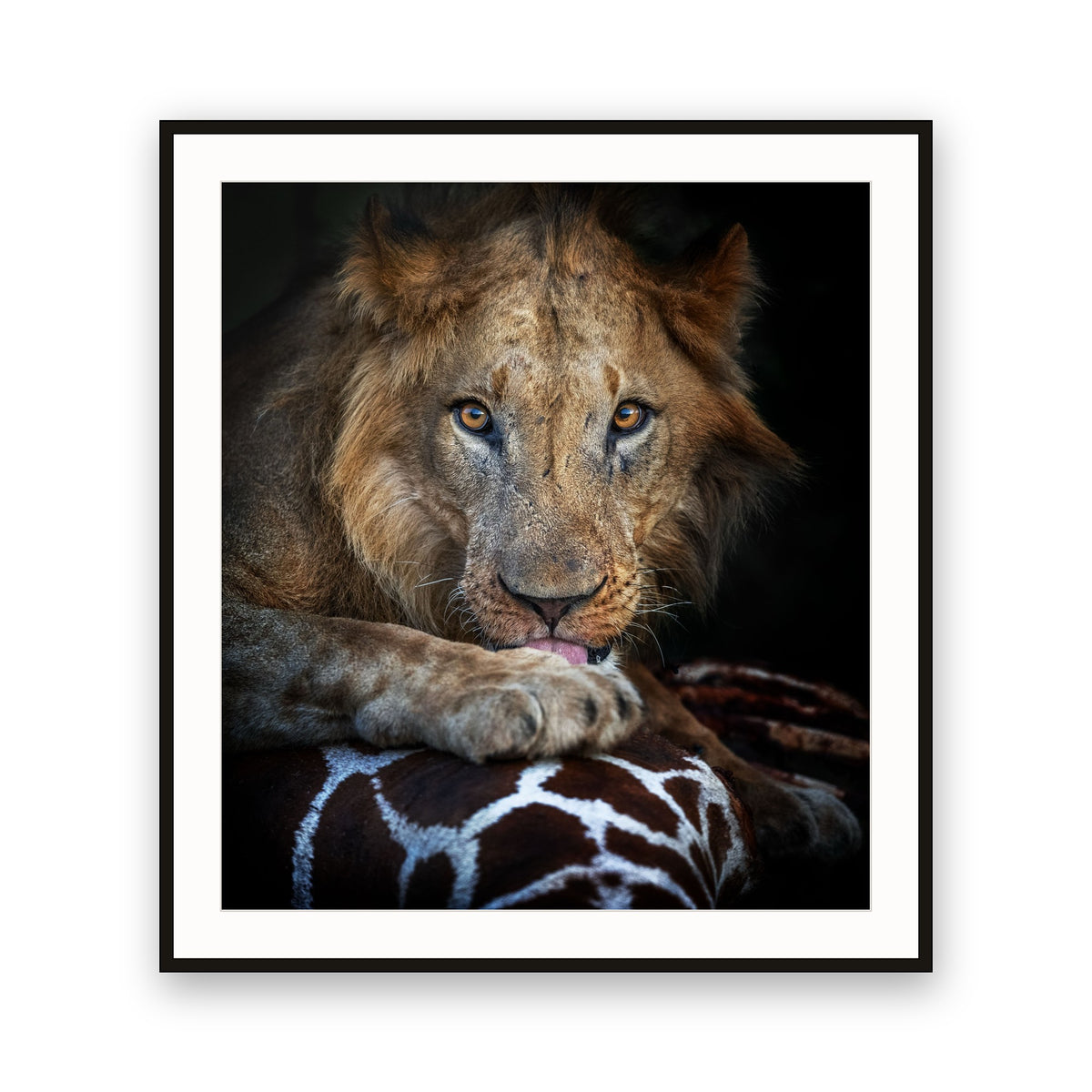 The Prey, Kenya