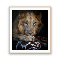 The Prey, Kenya view 3
