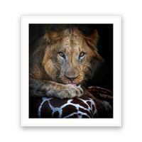 The Prey, Kenya view 4